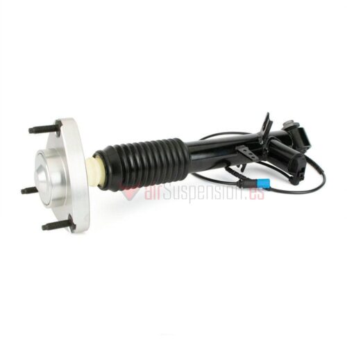 Amortiguador Tras. izq. BMW X5 (F15/F85) X6 (F16/F86) w/VDC